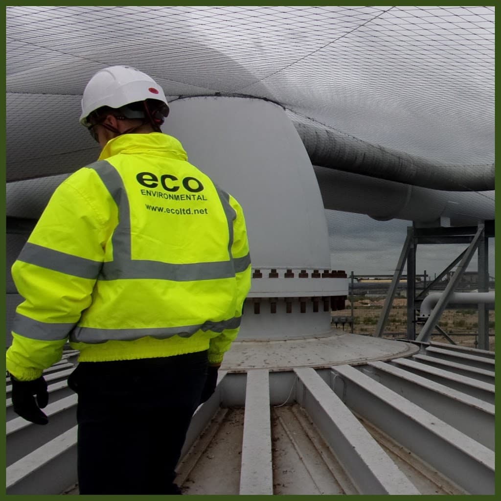 Eco Environmental Services Ltd - Bird Control Scotland Regional Office