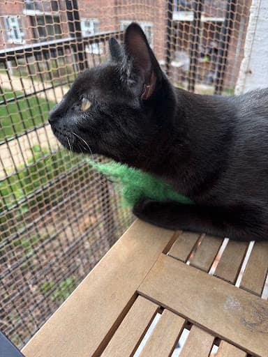 Project Multi Pest Control — Customer photo