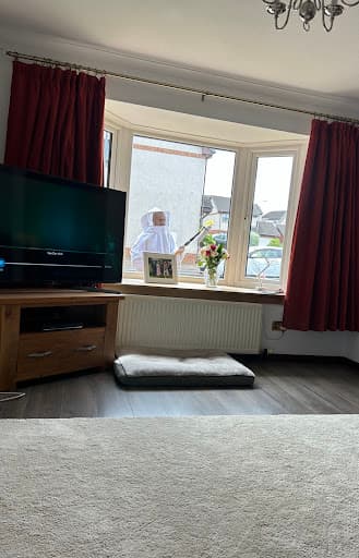 Glasgow District Pest Control- Low Cost — Customer photo
