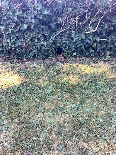 Plymouth Pest Control — Customer photo