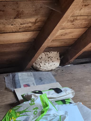 Pest Solutions — Customer photo