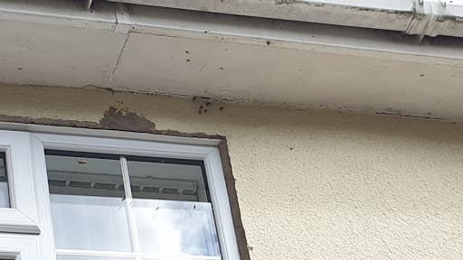 Pest Control Nottingham — Customer photo
