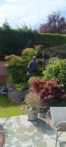 TLC Pest Control Limited — Customer photo