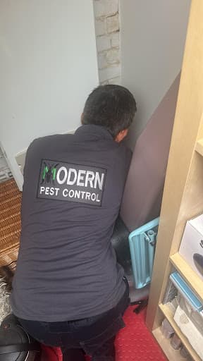 Modern Pest Control London — Customer photo