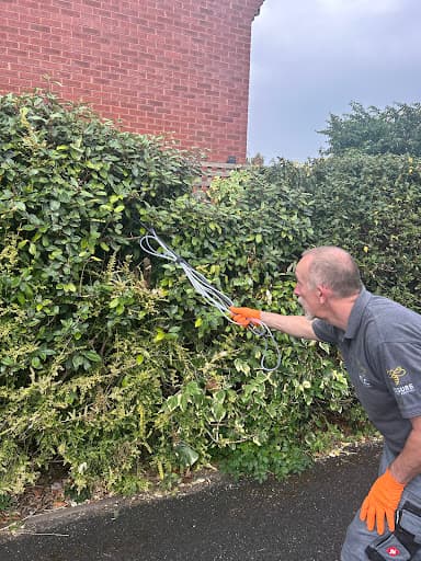 TLC Pest Control Limited — Customer photo