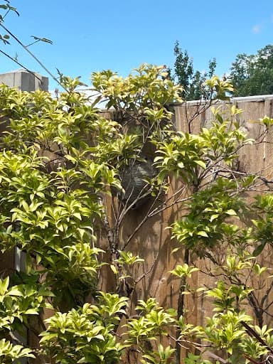 Wasptec Pest Control — Customer photo