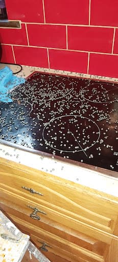 AGS Pest Control — Customer photo