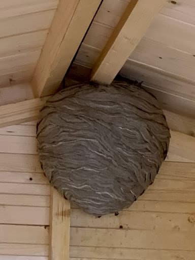 Vergo Pest Management Ltd — Customer photo
