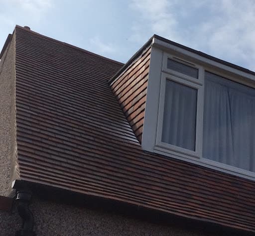 Edinburgh Wasp Control — Customer photo