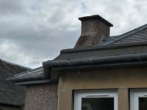 Edinburgh Wasp Control — Customer photo