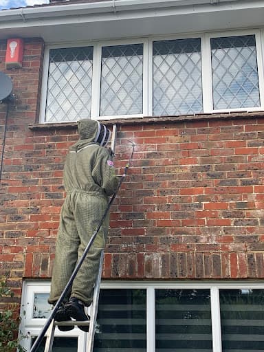 Global Pest Control — Customer photo