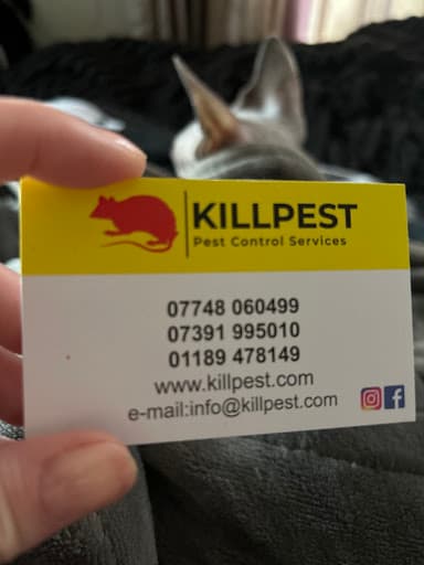 Killpest Pest Control Services — Customer photo