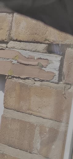 STP Pest Control Ltd — Customer photo