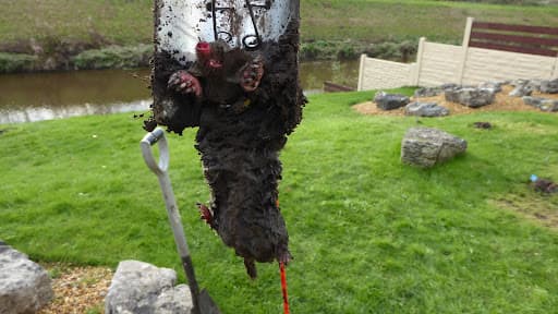 Copley Pest Solutions UK — Customer photo