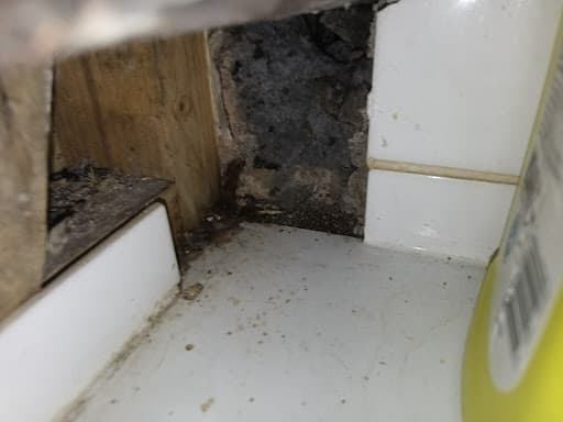Huntsman Pest Control Liverpool — Customer photo
