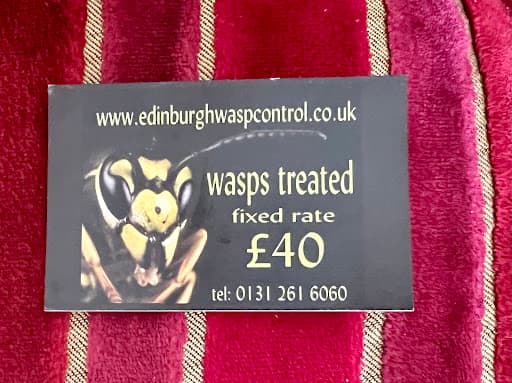 Edinburgh Wasp Control — Customer photo