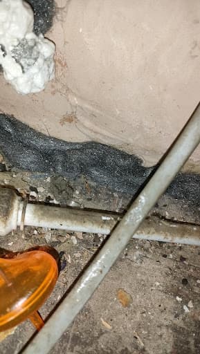 Huntsman Pest Control Liverpool — Customer photo