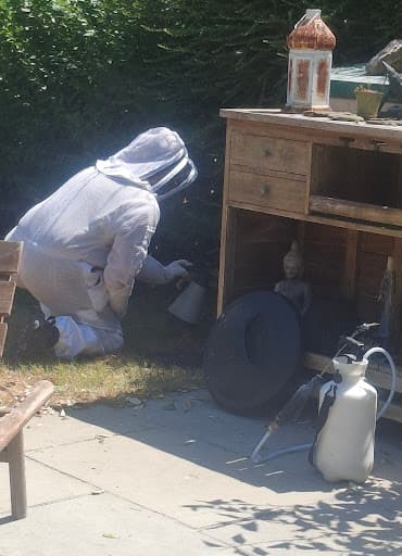 Dartmoor Pest Control — Customer photo