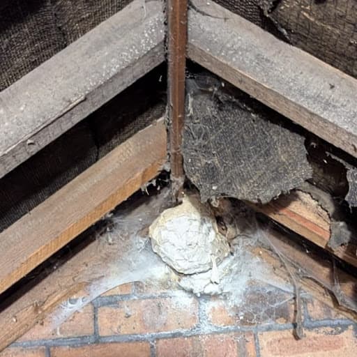 Copley Pest Solutions UK — Customer photo