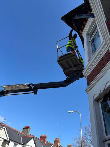 Cardiff Pest Control Limited — Customer photo