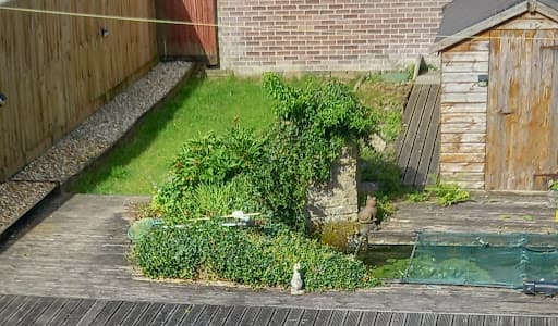 Dartmoor Pest Control — Customer photo