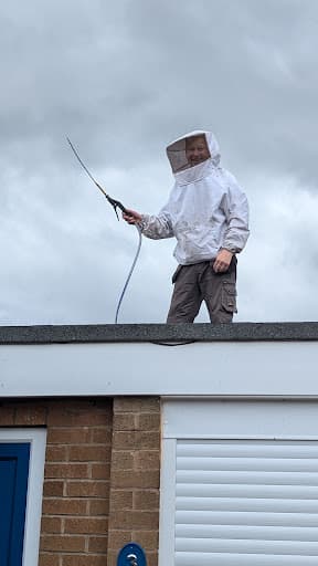 NG Pest Control — Customer photo