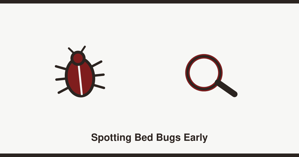 Bed bugs: how to spot them and why DIY treatment usually fails