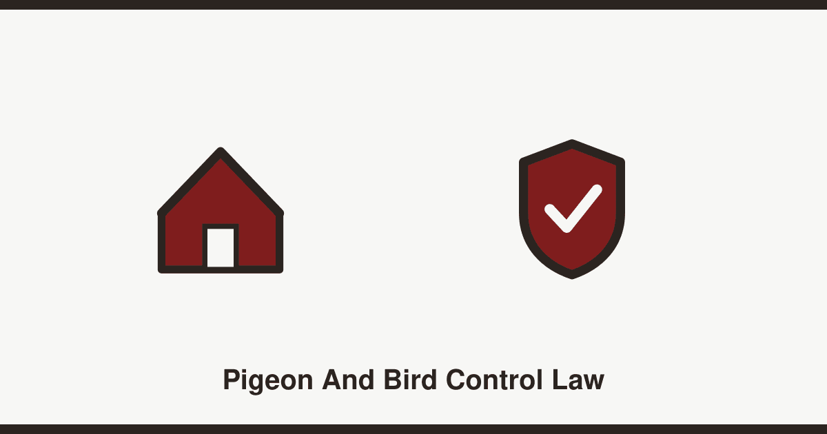 Pigeon and bird control: what UK law actually allows