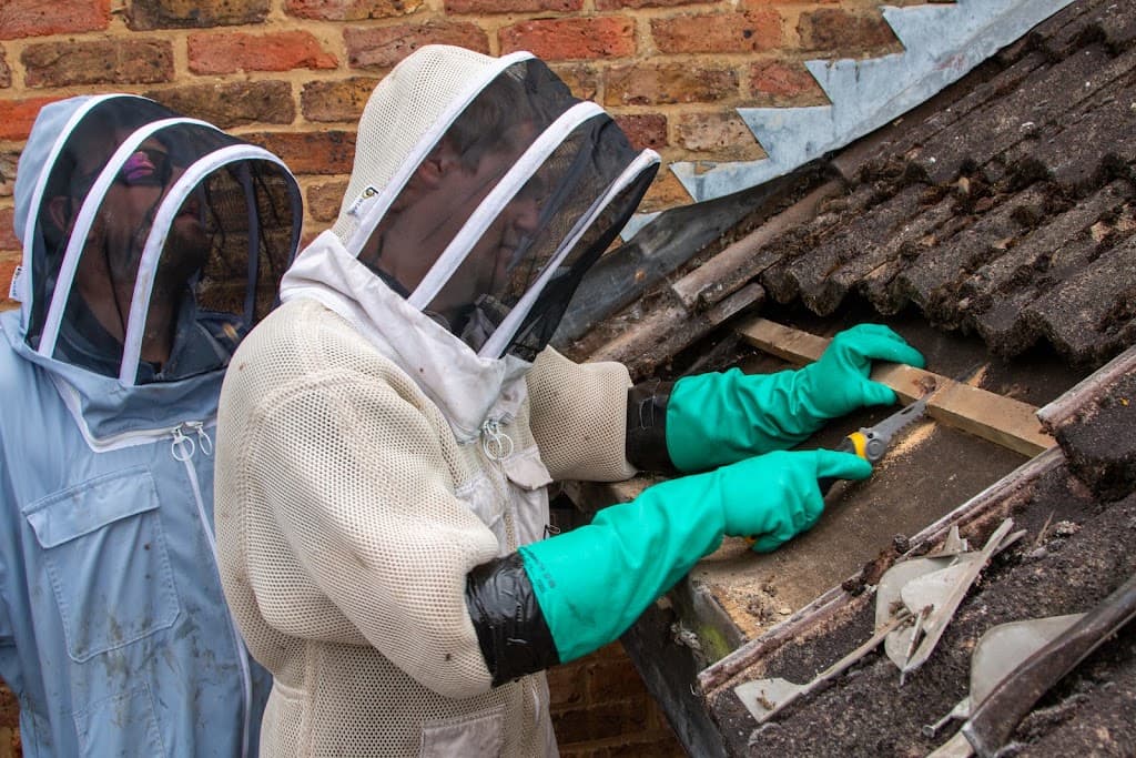 PGH Beegone Pest Control