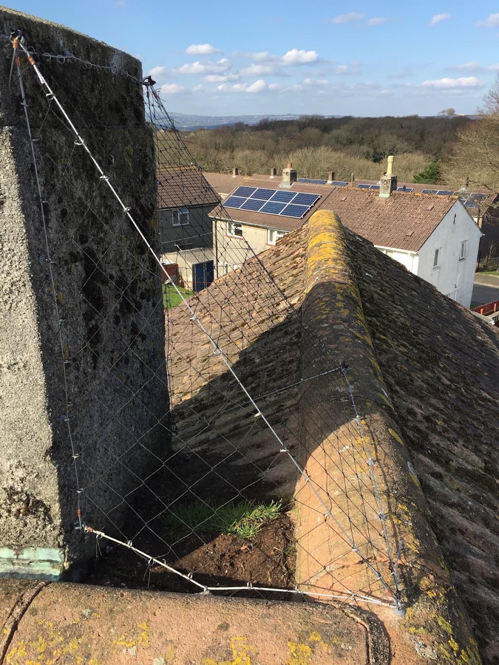 Any Pest Control Services Commercial & Domestic - Plymouth