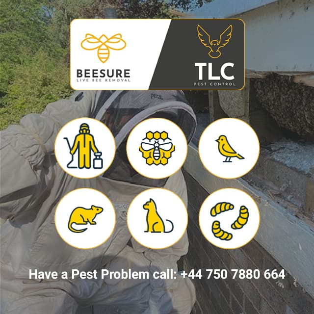 TLC Pest Control Limited