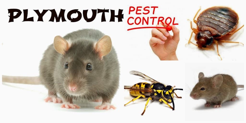 Plymouth Pest Control