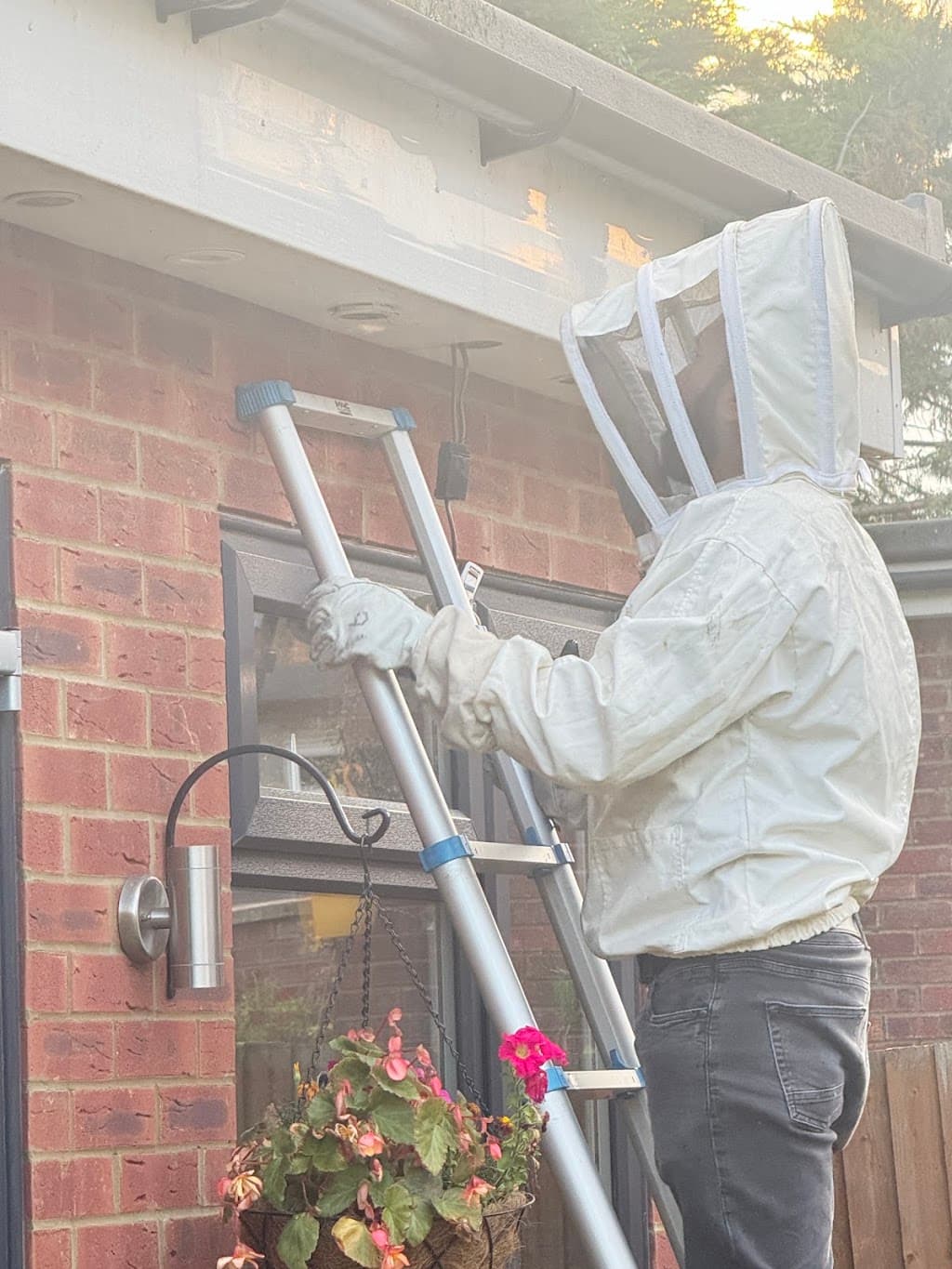 Rapid Pest Control London