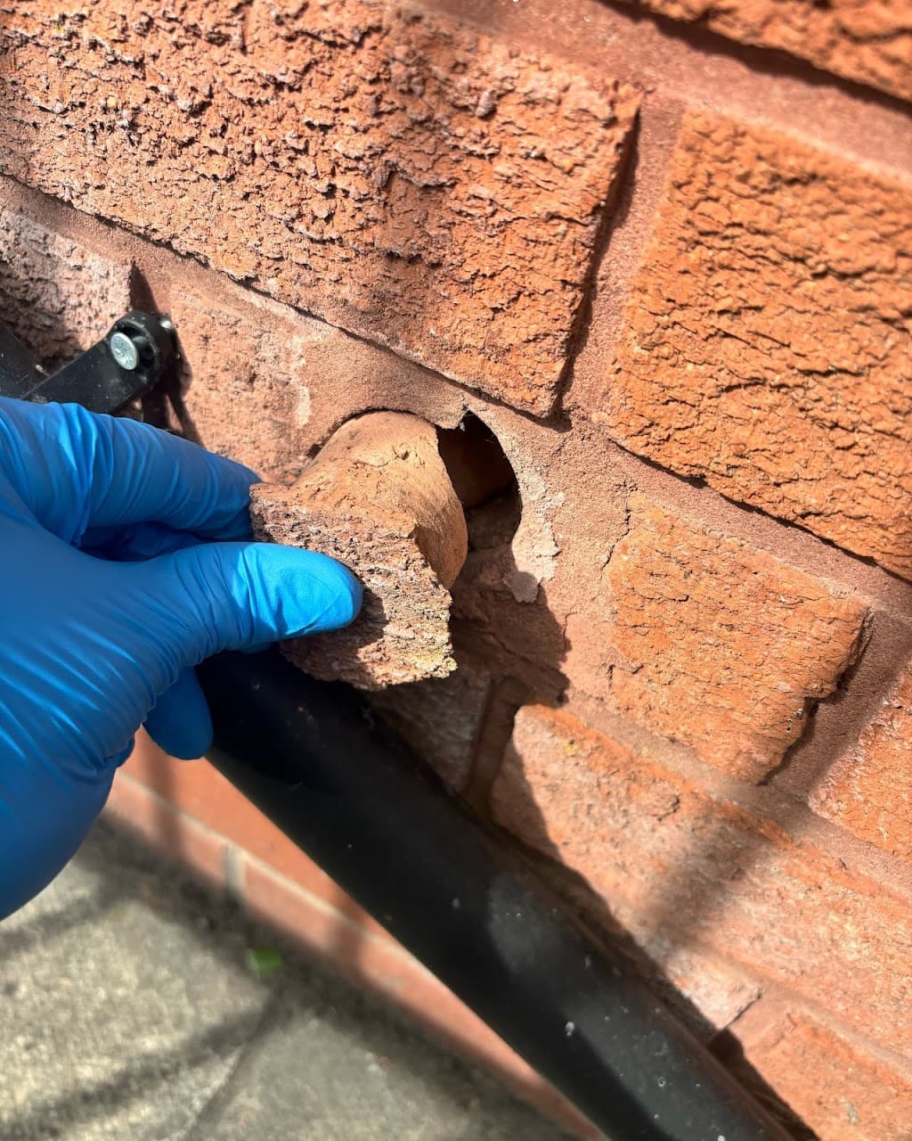 RodentX Pest Control Manchester