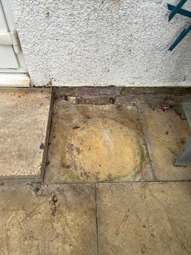 Environ Pest Control London — Customer photo