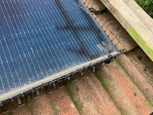 Fur & Feather Pest & Bird Control Bristol & North Somerset — Customer photo