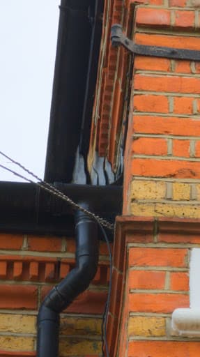 Indigo Wasp Nest Removal β Customer photo