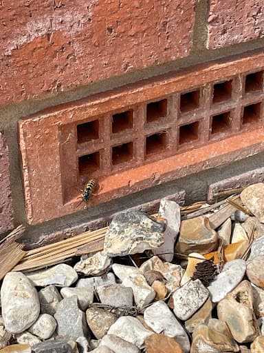 Ringwood Pest Control β Customer photo