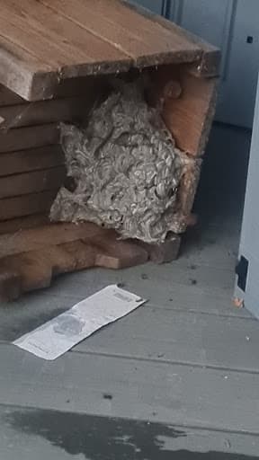Fur & Feather Pest & Bird Control Bristol & North Somerset — Customer photo