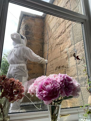 Barricade Pest Control Edinburgh — Customer photo