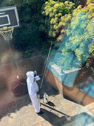 Wasp Control β Customer photo