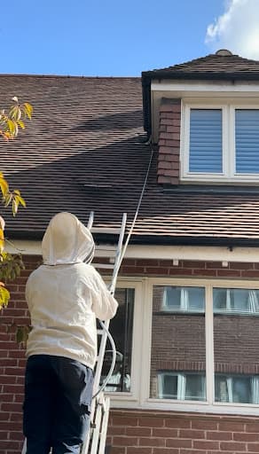 Rapid Pest Control London β Customer photo